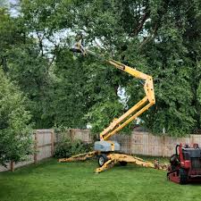 Best Tree Trimming and Pruning  in Washington Terrace, UT