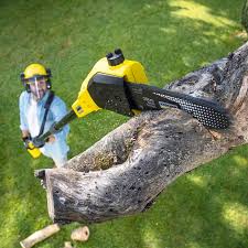 Best Lawn Maintenance Plans  in Washington Terrace, UT